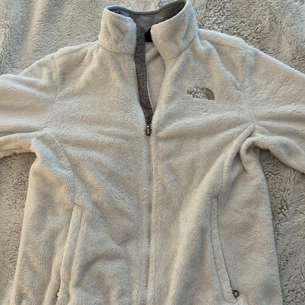 The north face jacket
